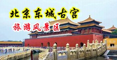 操波多野结衣屁眼中文字目中国北京-东城古宫旅游风景区